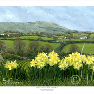 Slieve Gallion Fine Art print